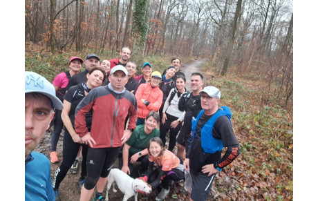 Sortie du côté de Bois d'Arcy ce dimanche matin...