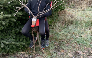 Sortie ce matin du côté de Saint-Rémy-lès-Chevreuse...