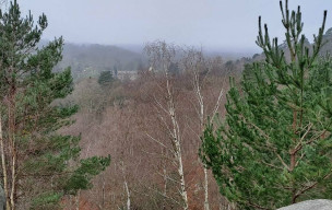 Sortie ce matin dans les vaux de Cernay...